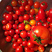 Harvest